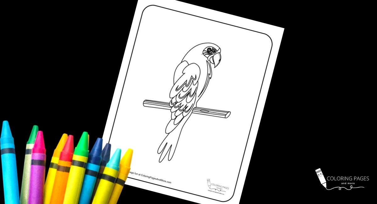 Shy Parrot Bird Coloring Page