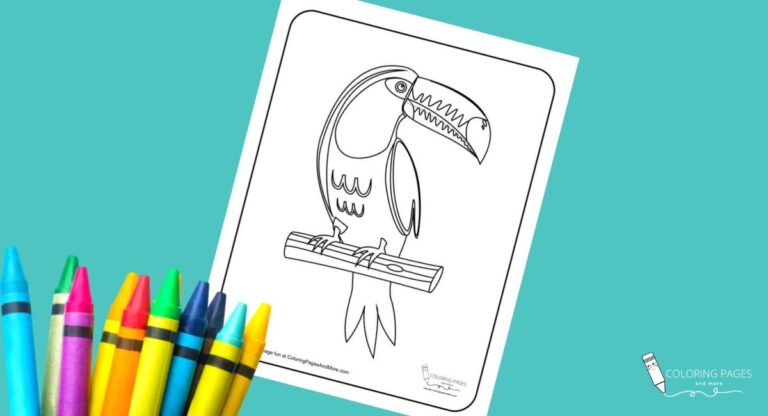 Toucan Bird Coloring Page