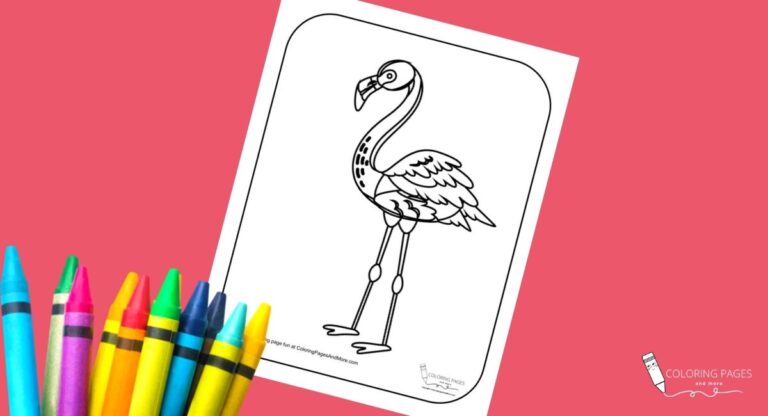Standing Flamingo Coloring Page