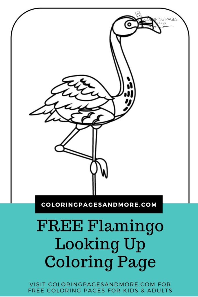 Free Flamingo Looking Up Coloring Page