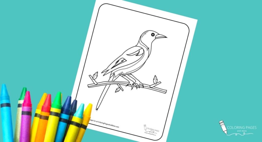 Bird Coloring Page