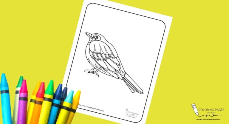Fat Bird Coloring Page