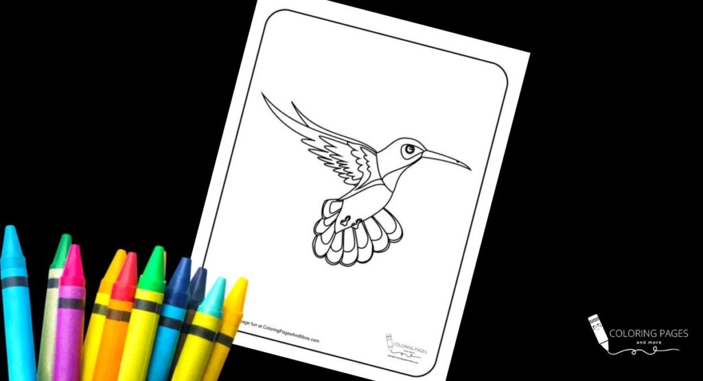 Hummingbird Bird Coloring Page