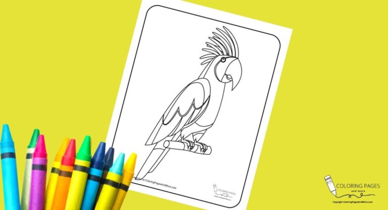 Parrot on Perch Bird Coloring Page