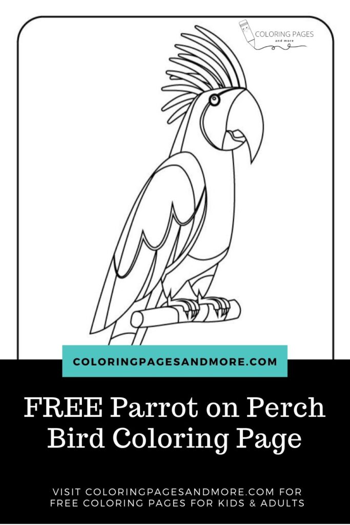 Parrot on Perch Bird Coloring Page