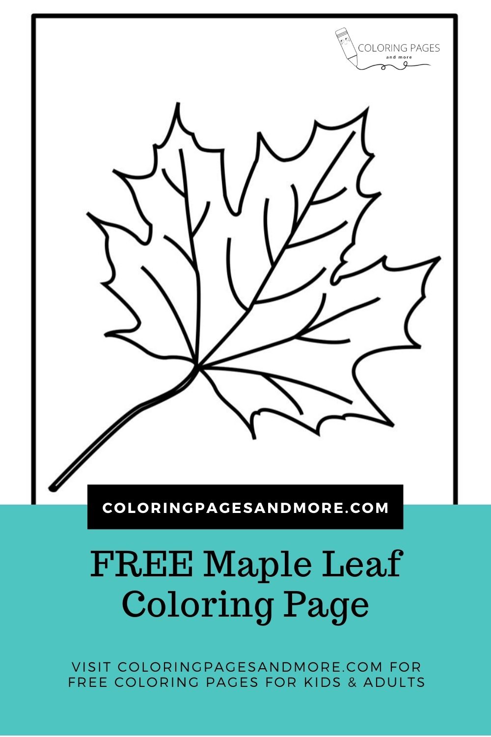 Maple Leaf Coloring Page - Coloring Pages and More